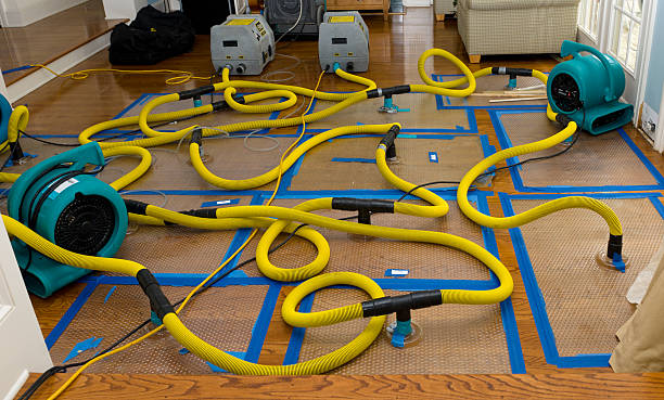 Professional Structural Drying And Dehumidification technician working in Mentone, AL